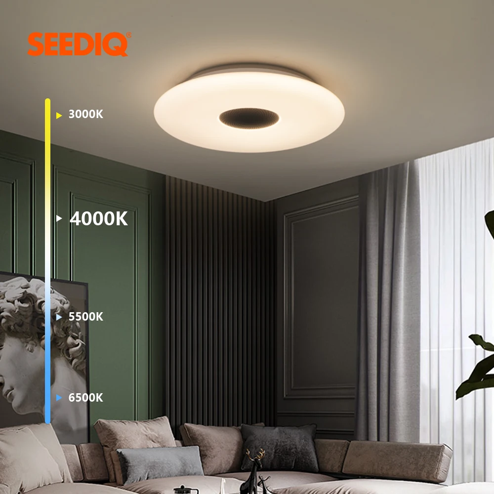 

Modern LED Smart speaker Dimmable Ceiling light Remote APP WIFI Bluetooth speaker Living room Dinning room Kitchen Ceiling Lamp