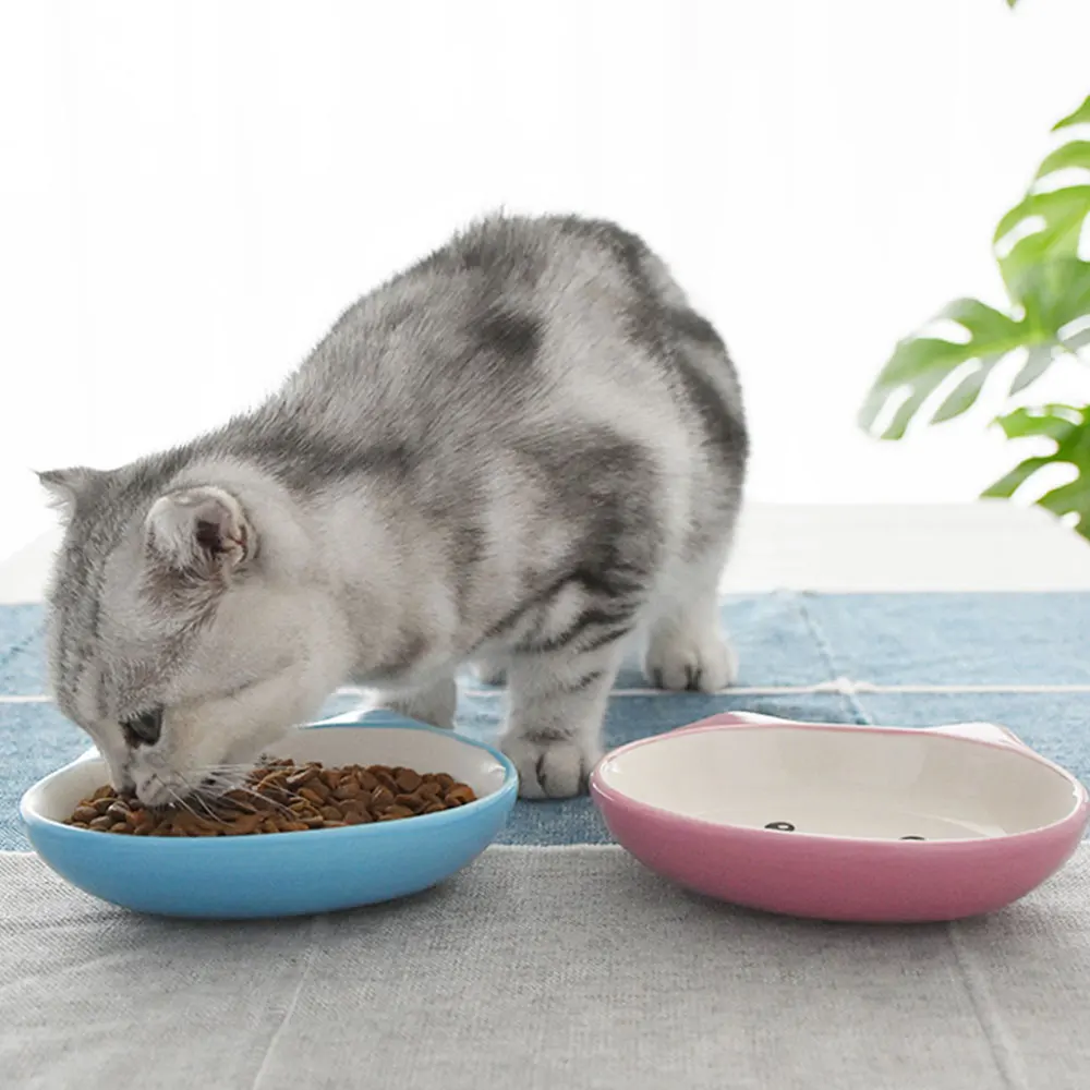 1 Pcs Cat Food Bowl Oblique Mouth Single Drinking Ceramic Pet Dog Cute Ears Supplies Small Dogs | Дом и сад