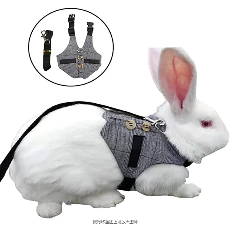 Комплект из жилета и поводка с кроликом регулируемый официальный костюм для