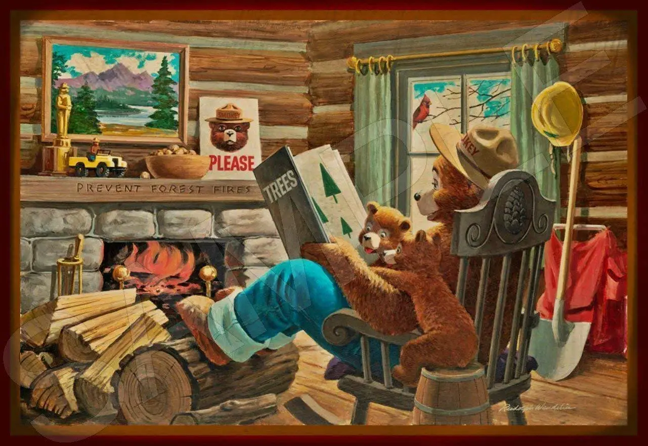 Smokey медведь знак книга для чтения Сделано в США все погодные металл. Официальный