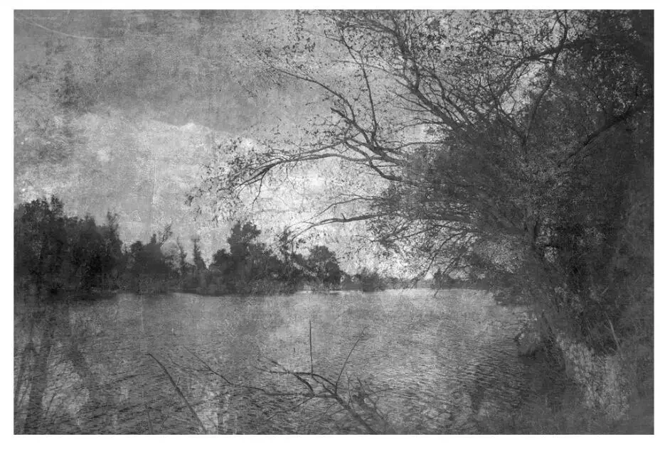 XUE SU пользовательские обои роспись черно-белые ретро простой пейзаж дерево ТВ фон