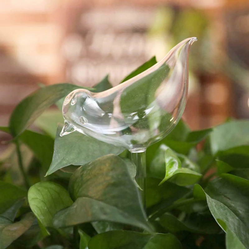 Hot Plant Waterer Self Watering Globes Bird Shape Hand Blown Clear Glass Aqua Bulbs Vases Decor Easy Garden Tools Dropshipping | Дом и сад