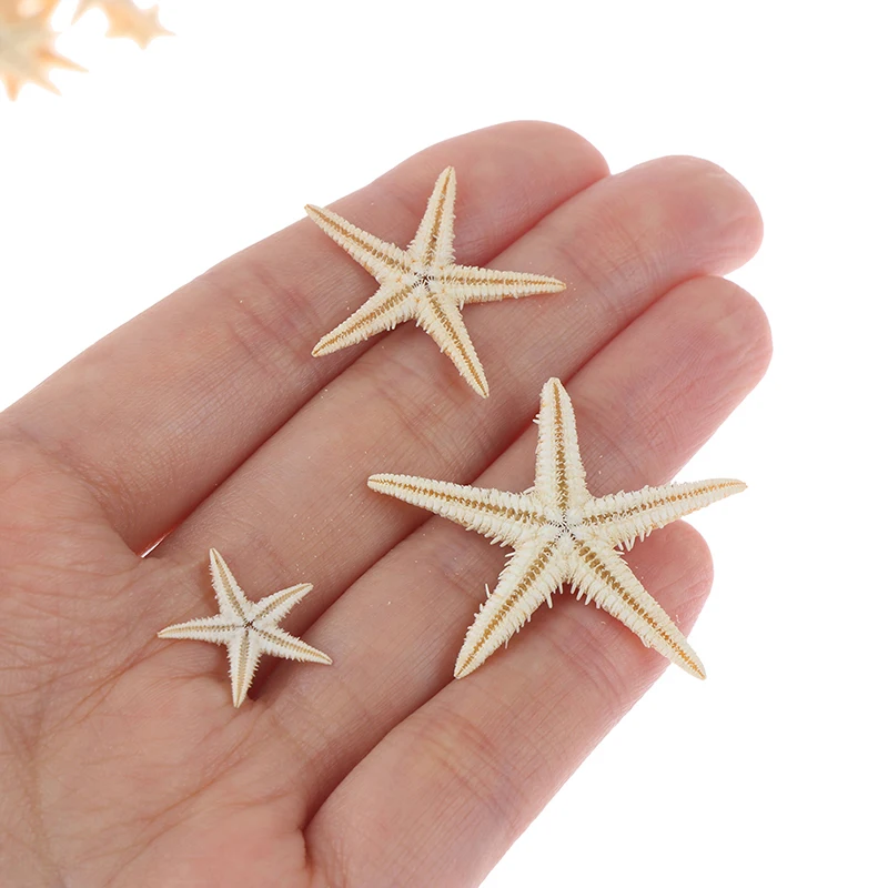 20/40/50/100pcs Sea shells Mini Starfish Craft Decoration Natural Stars DIY Beach Cottage Wedding Decor crafts wedding | Дом и сад