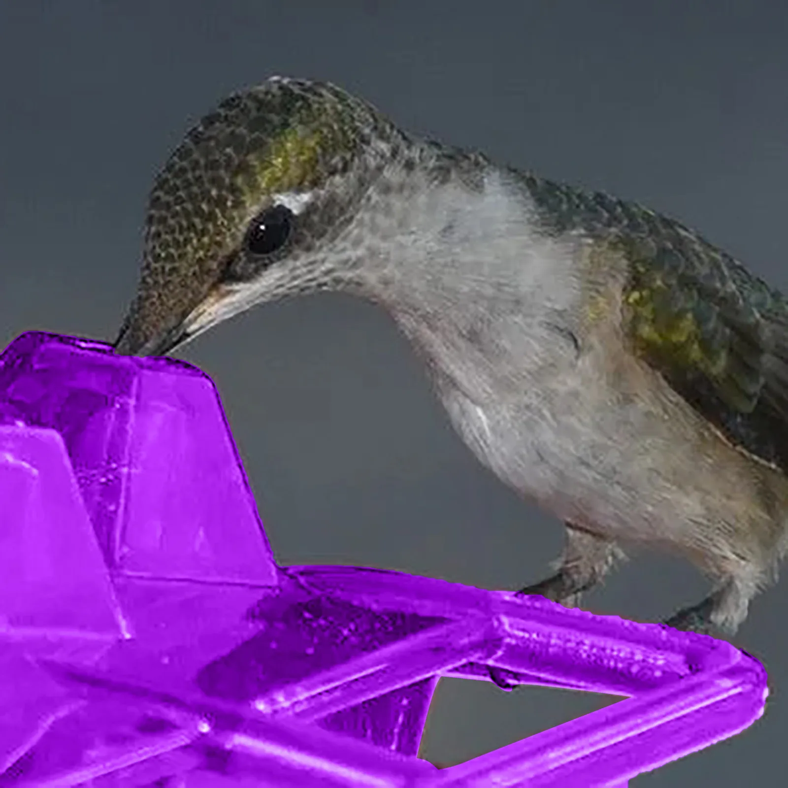 12 унций пластиковая семейная Фидер для улицы и сада подвесная многоугольная