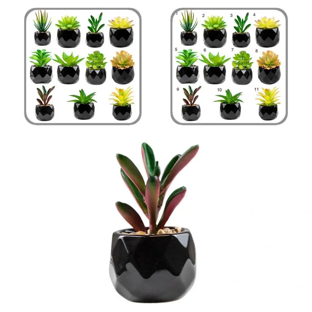 Новинка 2021 черная керамика зеленые суккулентные растения набор бонсай