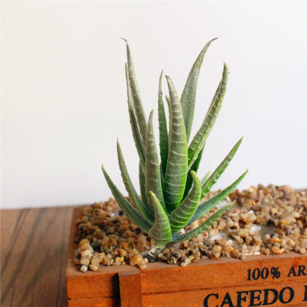 Festival party supplies Zebra Aloe Plant Wall DIY Accessories Supplies Artificial Home Decoration Imitation plants | Дом и сад