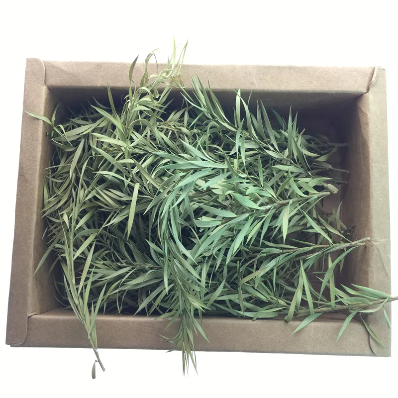 1 коробка архитектурная модель железнодорожной травы для модели шкалы