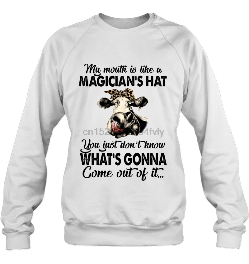 Мужская толстовка с капюшоном мой рот это как Шляпа Волшебника вы просто не