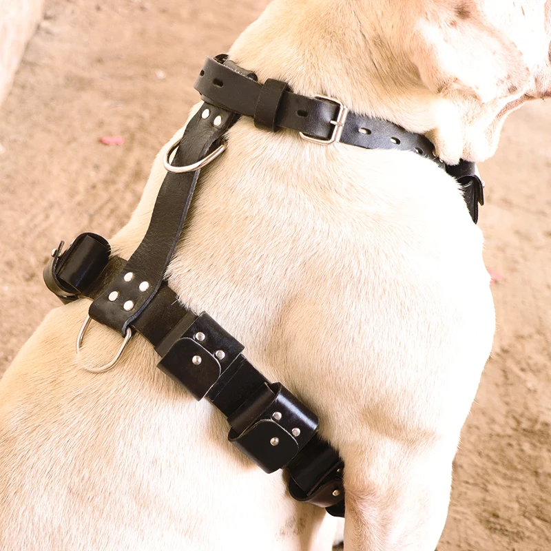 Кожаная шлейка для собак большая силовых тренировок лучшая американских
