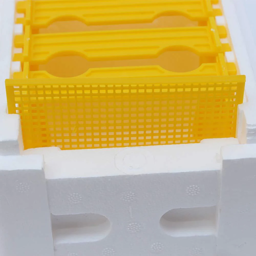 

Foam Bee Mating Box with Grid Warmkeeping Waterproof Queen Breeding Case 24.1x15x14.1cm Beekeeping Tools for Pollination P7Ding