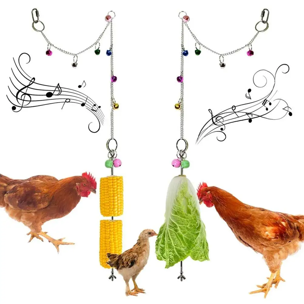 

Stainless Steel Bird Feeder Hanging Pet parrot accessories Products for Hens Poultry Birds garden home decor Chicken Veggies Toy