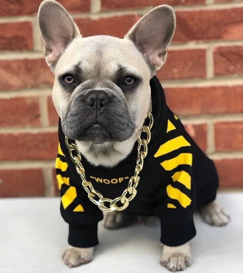 

Fashion Dog Hoodie Winter Pet Dog Clothes For Dogs Coat Jacket Cotton Ropa Perro French Bulldog Clothing For Dogs Pets Clothing