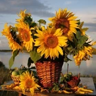 100% Полный 5D Diy Daimond картина 