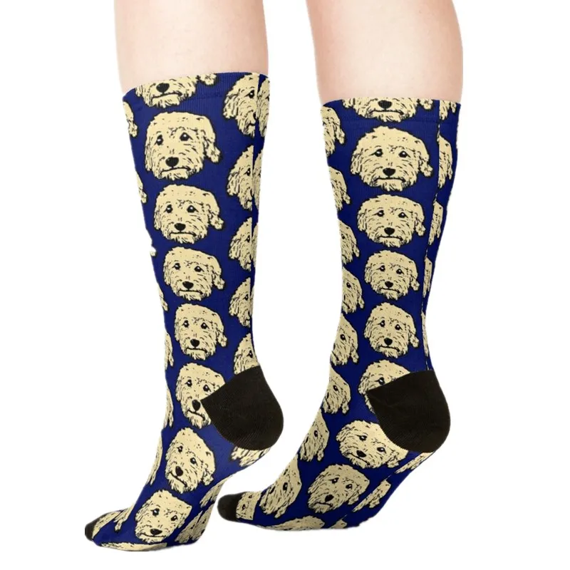 

Women's Socks & Hosiery