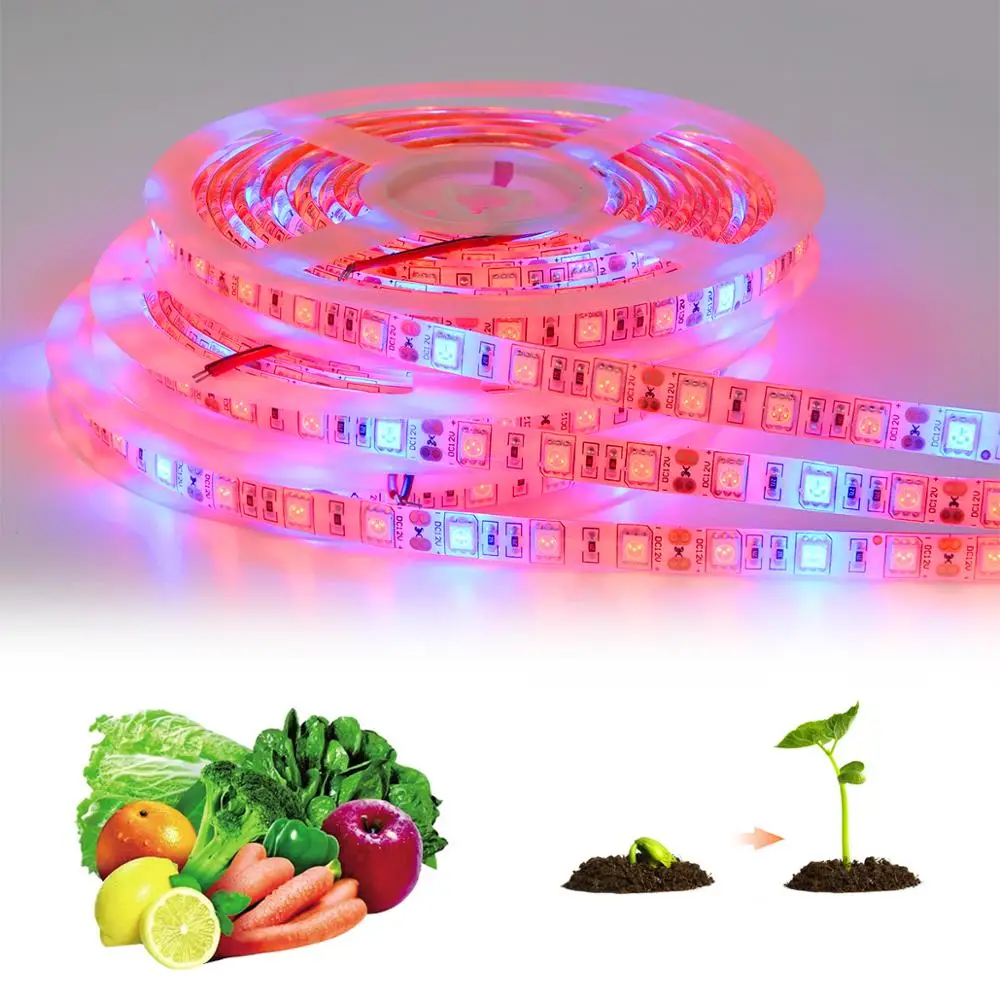 

5M LED Grow Light Tape phytolamp LED Strip lamp for plants flower seeds Growth Greenhouse Hydroponic 12V 5050SMD full spectrum