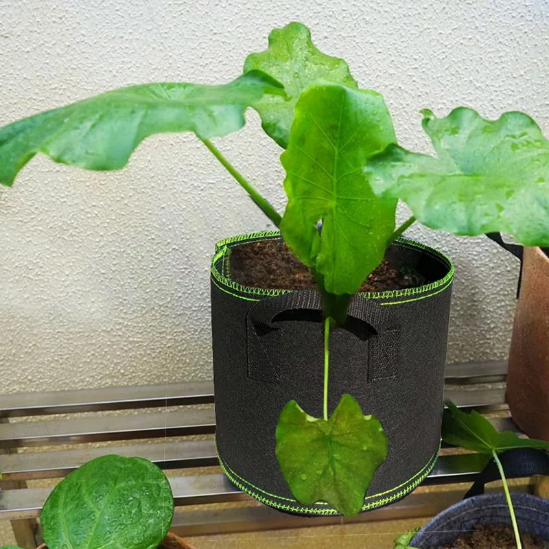 

5PCS Breathable Grow Bag Plants Fabric Pots with Strap Handles 5Pcs Round Planting Container Grow Bags Plants Nursery Pot gallon