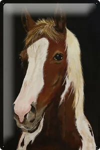 

Krakowski Horse Portrait Metal Shield Wall Art Deco Tin Sign