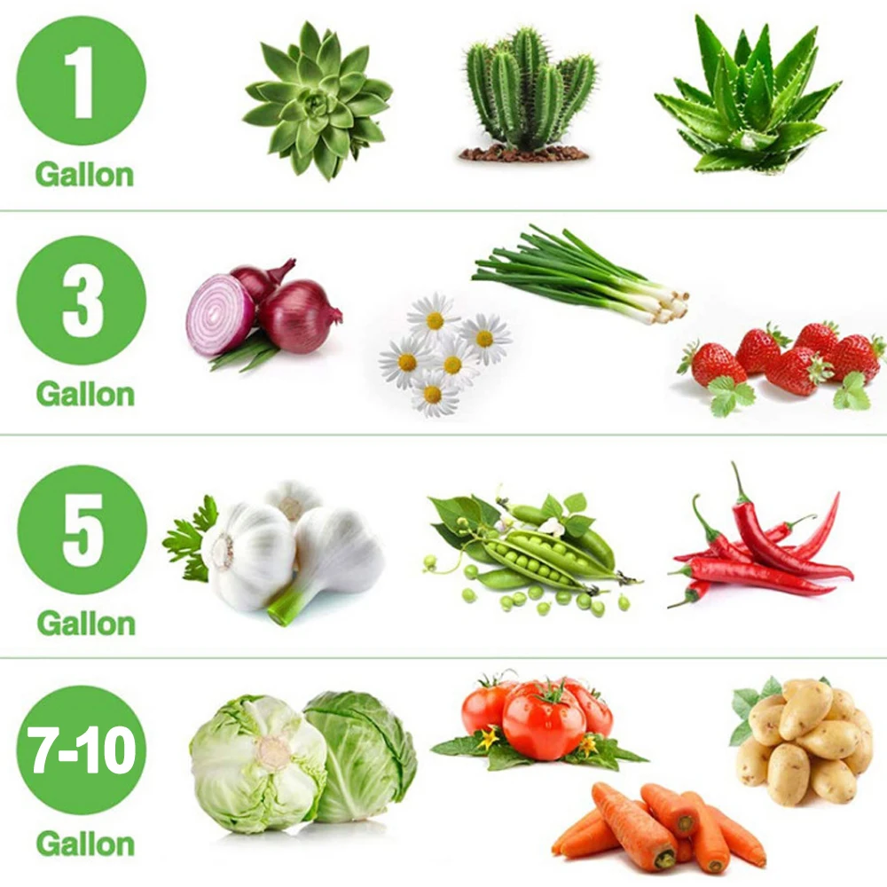 

1/3/5/7/10 Gallon Plant Grow Bags Fabric Garden Flower Pot Strawberry Planting Growing Bag with Handles Pots Garden Tools