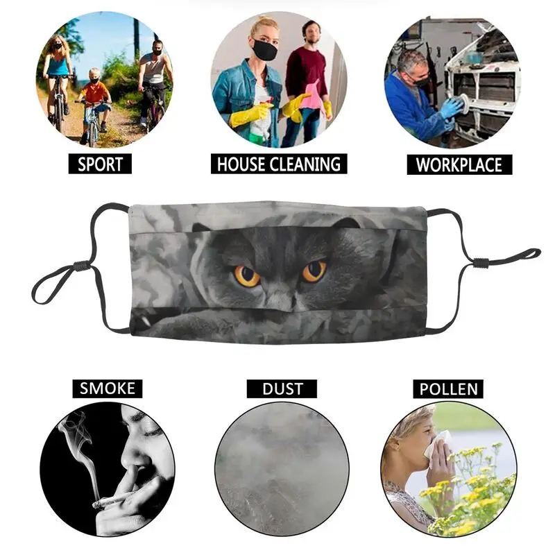 

British Shorthair Mask Reusable Adult Blue Cat Mouth Face Mask Dustproof Protection Cover Respirator Muffle