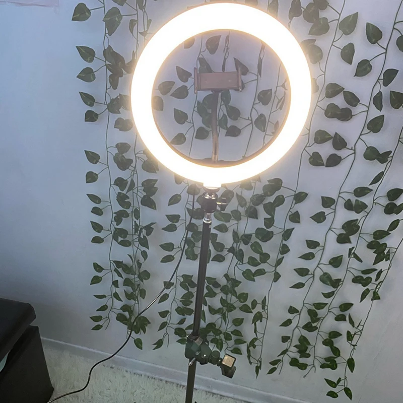 

Ring Light Photography Selfie Ring Lighting with Stand for Smartphone Youtube Makeup Video Studio Tripod Ring Light