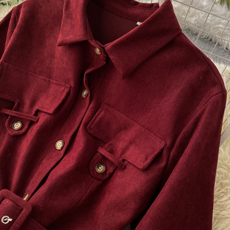 ALPHALMODA, модное женское платье, Осень-зима, французское ретро платье средней длины с поясом, сплошная шикарная одежда