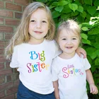 Футболка для мальчиков и девочек, забавный разноцветный принт для большоймаленькой сестры, подходящая одежда, летняя одежда для малышей