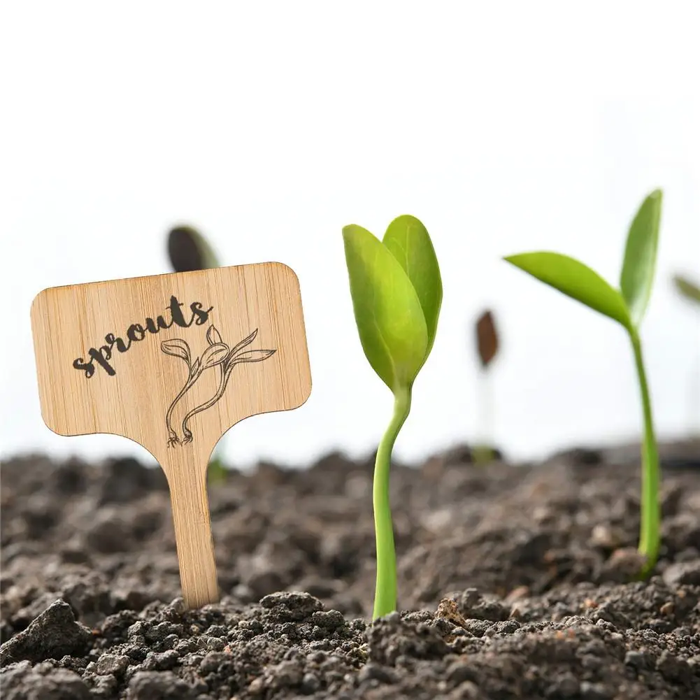 

50pcs T-Type Bamboo Plant Labels Eco-Friendly Wooden Plant Sign Tags Garden Markers for Seed Potted Herbs Flowers Tools