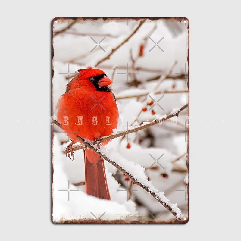

Северный Кардинал в снегу, металлический плакат, настенный постер, паб, бар, пещера, винтажный фотографический плакат