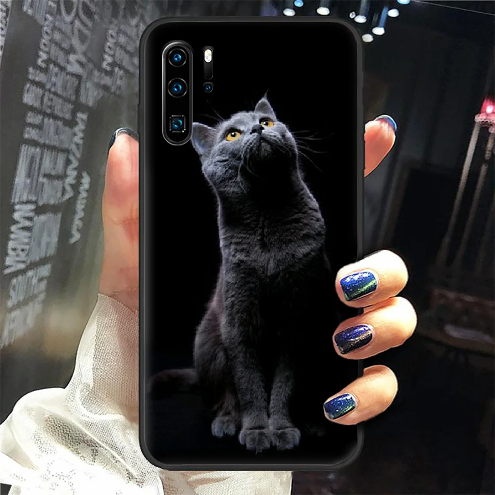 

Cute cat Phone Case Cover Hull For Huawei P8 P9 P10 P20 P30 P40 Lite Pro Plus smart Z 2019 black back fashion coque pretty prime