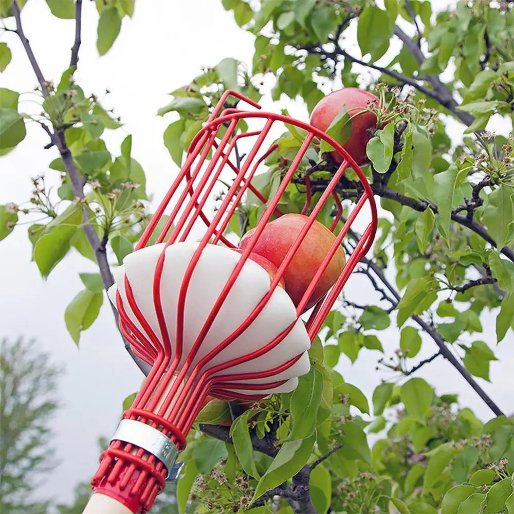 

Fruit Picker 260cm Adjustable Deep Basket Convenient Harvesting Fruit Collector Catcher Apple Peach Picking Garden Tools