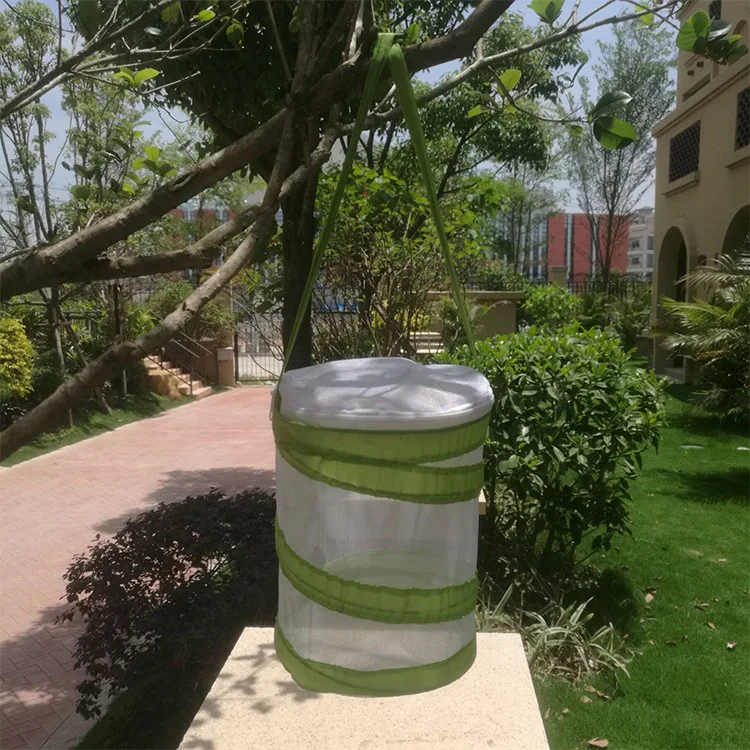 

Mini children's butterfly cage grasshopper cage small pet cage cicada cage silkworm baby firefly insect feeding box