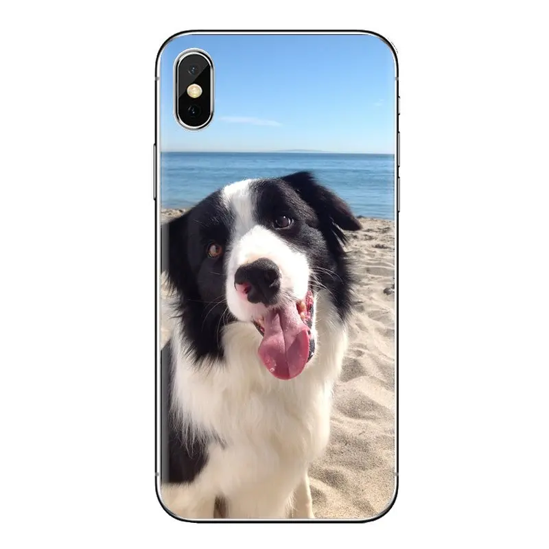 For Xiaomi Mi6 Mi 6 A1 Max Mix 2 5X 6X Redmi Note 5 5A 4X 4A A4 4 3 Plus Pro Border Collie Dog Transparent Soft Shell Covers |