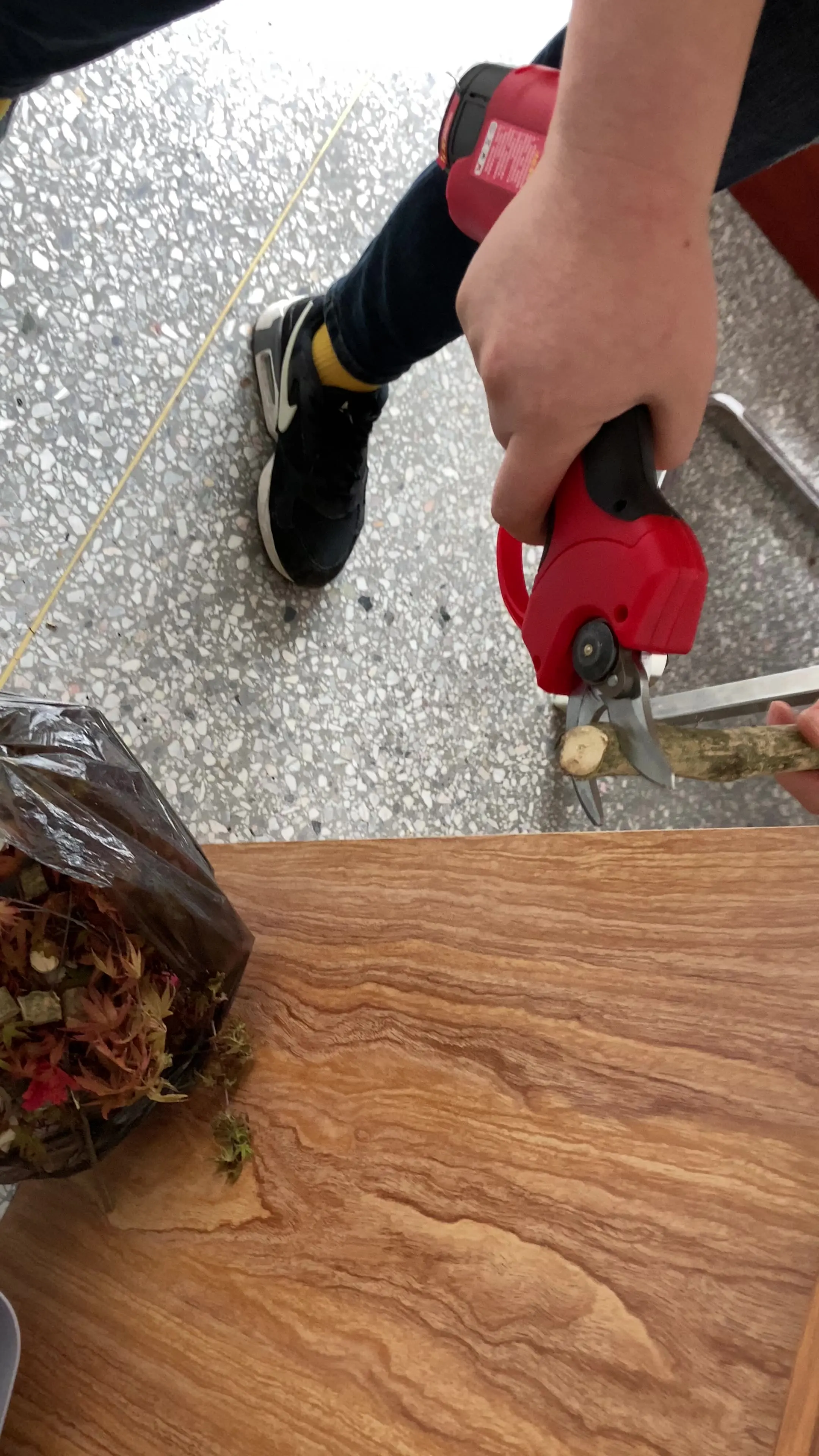 

Nplus электрическая фотоэлектрическая машина для сбора фруктов с литий-ионным аккумулятором