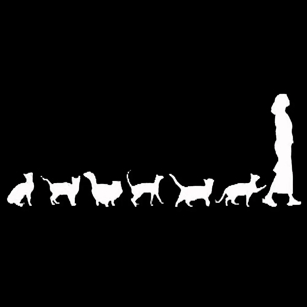 50% милые хит продаж кошки следите за Леди авто Стайлинг автомобиля средства ухода