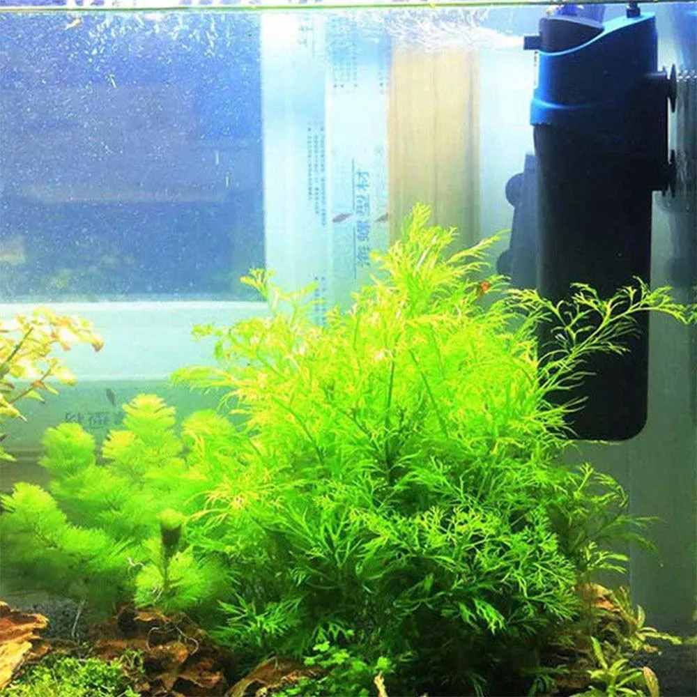 

Aquarium Fish Tank Filter Sterilization Lamp UV Sterilization Lamp Water Filter Pump Built-in Filter Waterproof