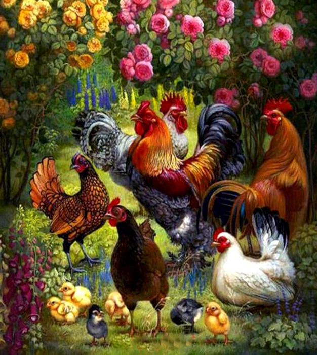 JMINE Div 5D красочный кран курица полностью Алмазная краска наборы для вышивки