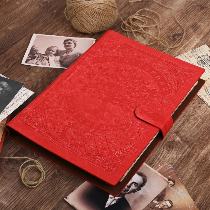 Рисунок 2 - Родословная книга "Книга нашей