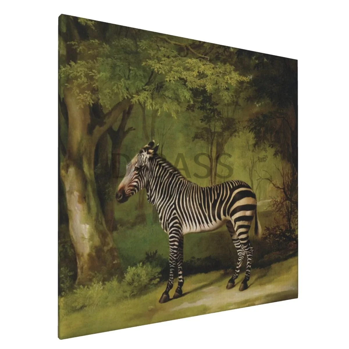 

A Zebra, 1763-холст печать с рамкой Настенная картина домашний декор для гостиной, спальни