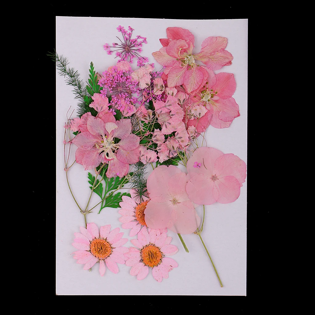 Красивые прессованные листья цветов натуральные сухие цветы для рукоделия