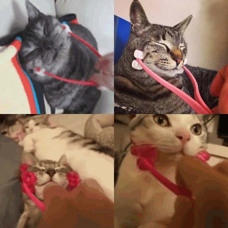 Инструмент для массажа кошек интерактивный Массажер тонкого лица и ног товары