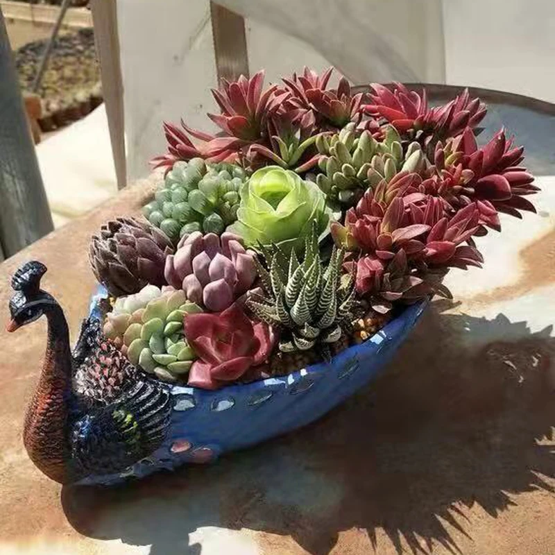 Large Peacock Flower Pot Resin Succulents Planter Desktop Decoration Vase Crafts Arts flower Pots Planting Storage Holder Tray | Дом и сад