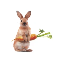 cute rabbit carrot wall stickers living room background decoration kids room bedroom wallpaper home decor children room stickers