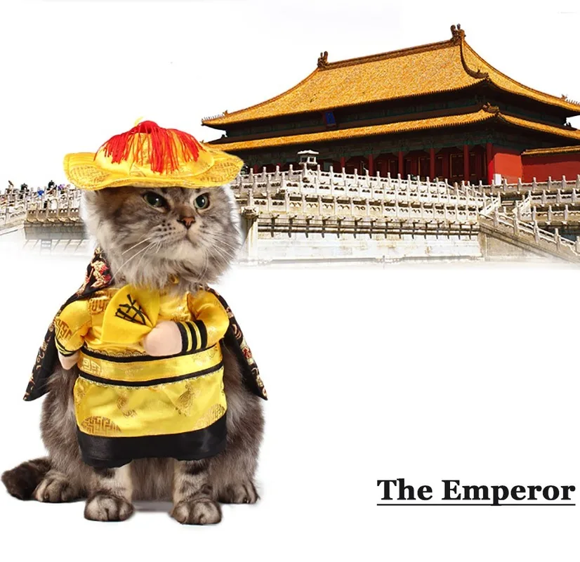 Одежда для домашних животных забавная китайская принцесса одежда косплея кошек