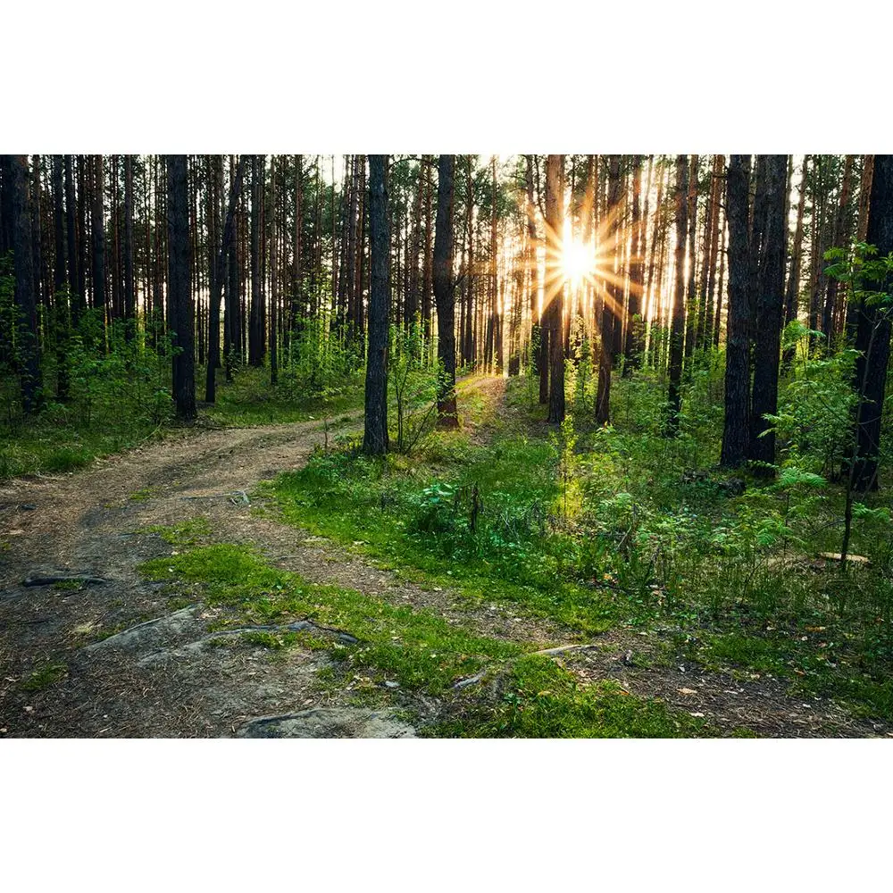 

SHENGYONGBAO Vinyl Custom Photography Backdrops Prop Light landscape Theme Photography Background 200309HV-05