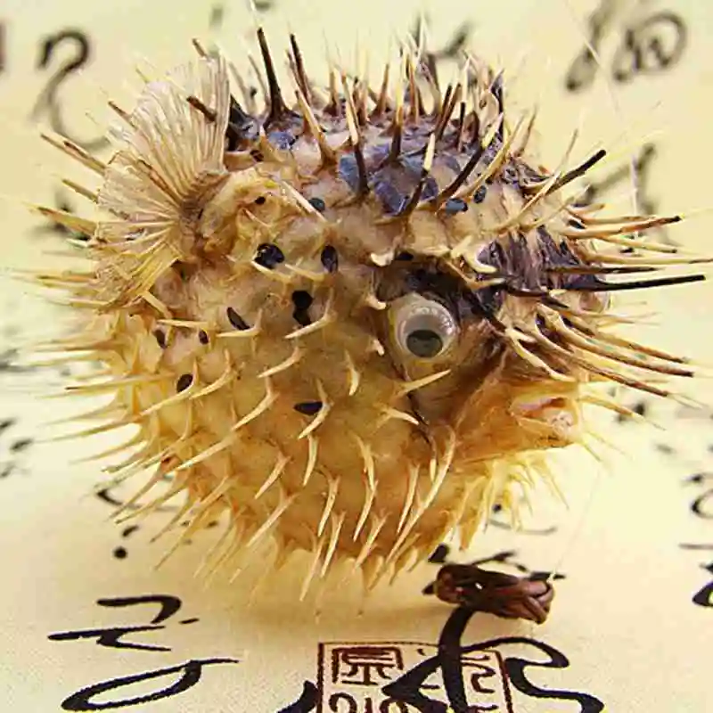 Воздушный барабан для рыбы образец морской свиньи с бамбуковой тканью подвеска в