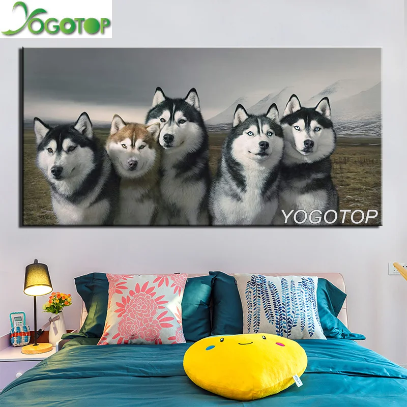 Животные большого размера 5D Сделай Сам алмазная живопись хаски собака домашнее