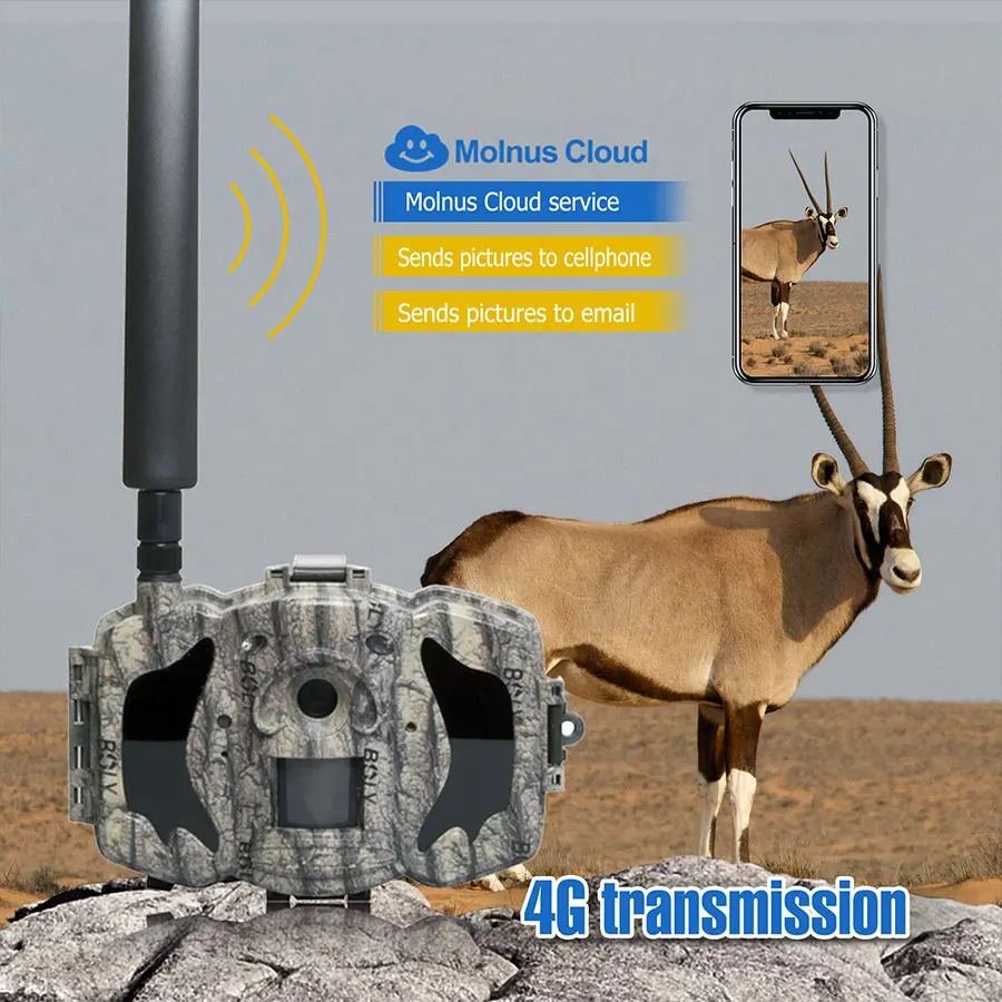Охотничья камера 4g Bolyguard ночное видение без свечения светильник 940nm инфракрасные фото ловушки плюс кабель постоянного тока сотовая камера слежения lte