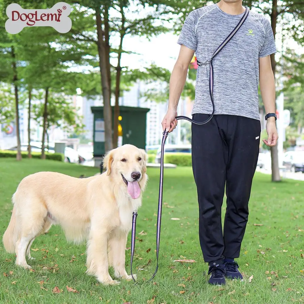 Многофункциональный тренировочный поводок для собак 3 метра нейлоновый двойной