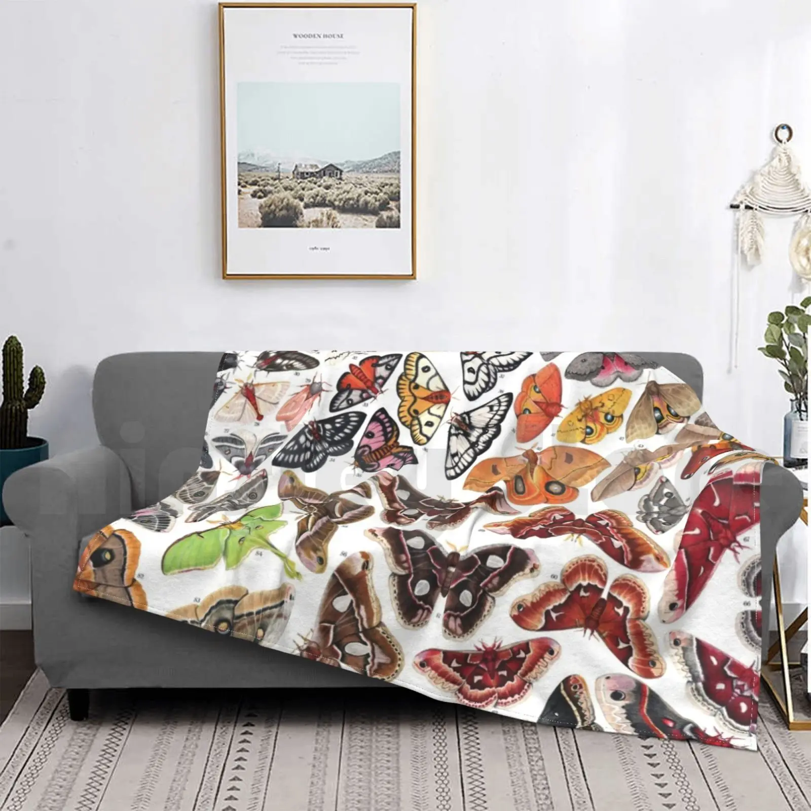 

Blanket Saturniid Moths Of North America 982 Moth Lepidoptera Insect Animal Entomology