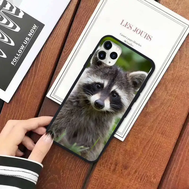 

Cute Animal Raccoon Phone Case for iPhone 11 12 pro XS MAX 8 7 6 6S Plus X 5S SE 2020 XR